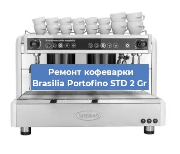Чистка кофемашины Brasilia Portofino STD 2 Gr от кофейных масел в Красноярске
